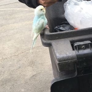 Meet your Posher, Daryl